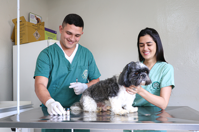 Cachorro em consulta