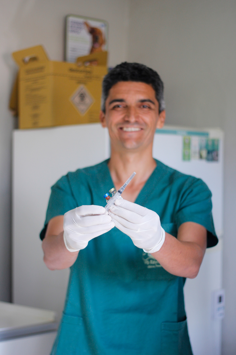 Exame e cuidado veterinário com cavalo