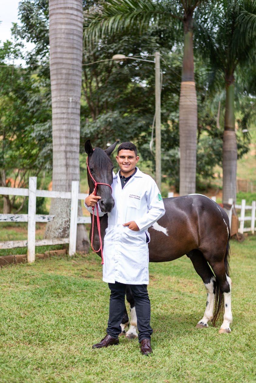 Cuidado equino com veterinário